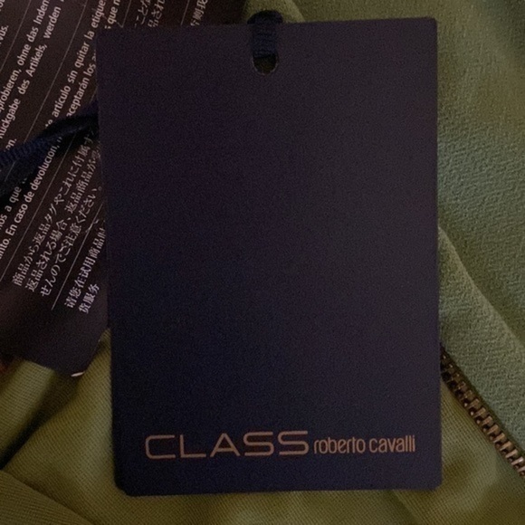 Roberto Cavalli (Class) olive green dress gold snake zipper limited edition - Picture 8 of 16